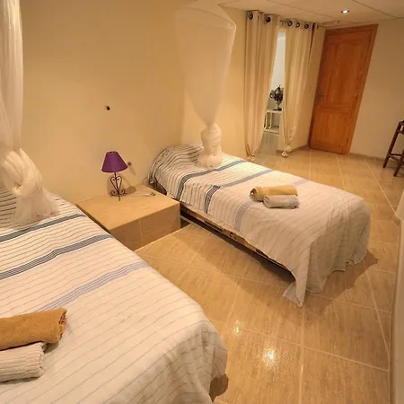 Albir Amarilla El Albir